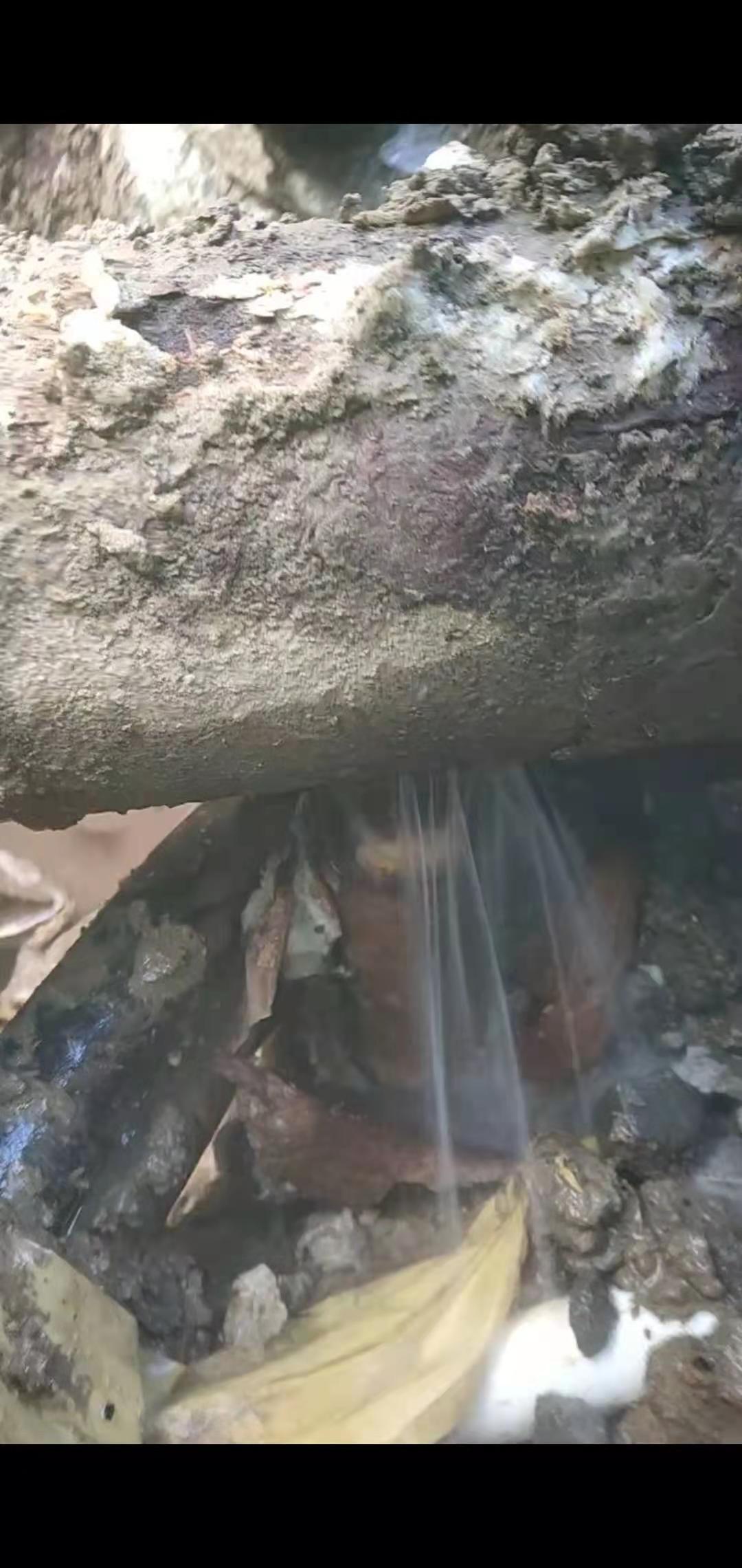 漏水检测方法的选择